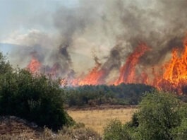 Πυρκαγιά, Μύτικας